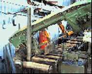 Roy Allen Cutting Shop